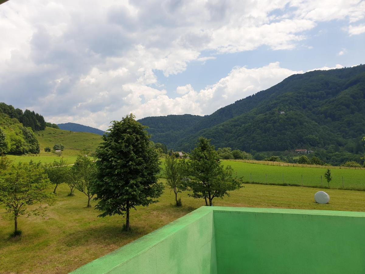 Apartma Patricija - Big Apartment For 6 Tolmin Buitenkant foto
